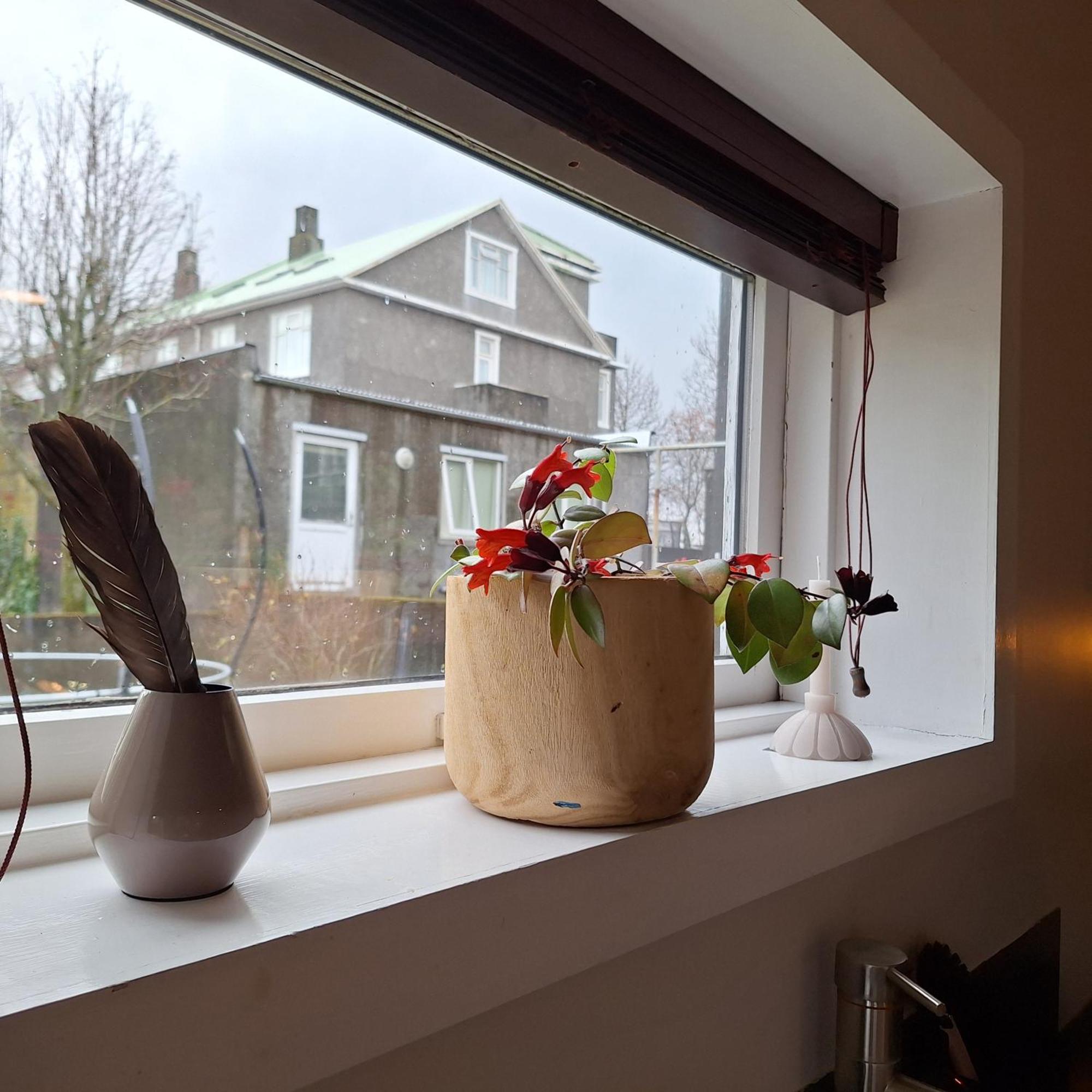 Central Reykjavik - Garden Cottage Exterior photo